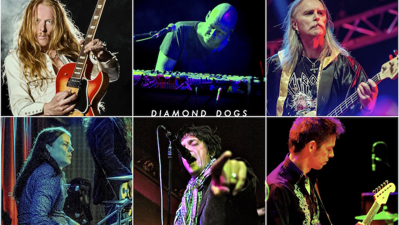 Diamond Dogs