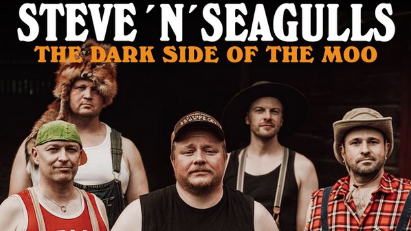 Steve 'n' Seagulls - The Dark Side Of The Moo